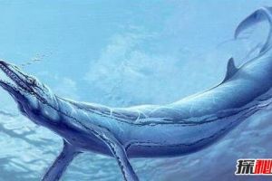 史前第一可怕巨獸，龍王鯨vs巨齒鯊誰才是最厲害的?