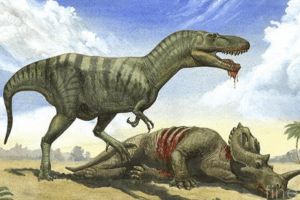 戈尔冈龙:北美大型恐龙(长9米/眼部泪骨长有骨突)