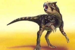 鸚鵡嘴龍：亞洲小型食草恐龍（長2米/距今9750萬年前）
