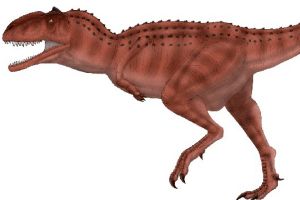 瑪君龍:非洲大型獸腳恐龍(喜歡同類相食/頭頂長角飾)