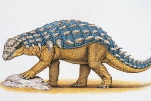 胄甲龍：北美洲大型食草恐龍（長7米/距今6800萬年前）