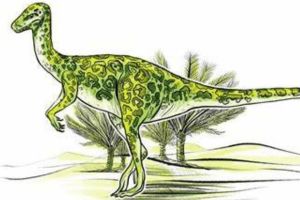 小型食肉恐龍:賈巴爾普爾龍 體長1.2米(僅出土尾椎化石)