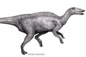 大型恐龍:計氏龍 一萬只恐龍化石中僅它發現了腫瘤