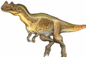 嵴鼻龍:大型肉食恐龍(長5-6米/鼻骨長有細小冠飾)