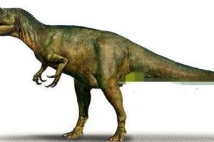 開江龍：四川大型食肉恐龍（長9米/距今1.5億年前）