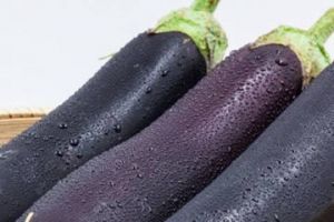 紫色细长茄子怎么做好吃