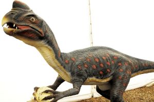 竊蛋龍:與鳥類最像的恐龍(長1.8米/被誤會偷蛋)