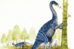 非洲植食恐龍：優肢龍 能像人類直立站立(長達9-12米)