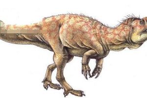 維恩獵龍：德國大型食肉恐龍（長8米/距今1.8億年前）