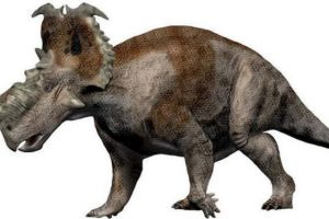 厚鼻龙：北美洲大型食草恐龙（长7米/距今6800万年前）