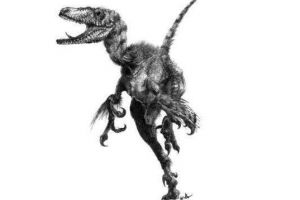 理查伊斯特斯龙：晚白垩世小型恐龙（体长仅两米）