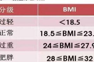 bmi的单位是什么：千克/平方米(身体质量指数)