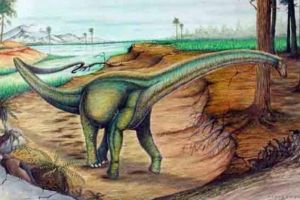 安第斯龍：阿根廷超巨型恐龍（長40米/距今9100萬年前）