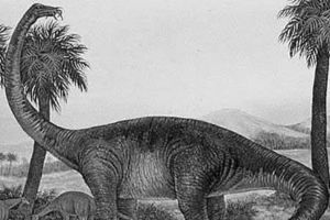 非凡龙:蒙古体型最大的恐龙(长23米/嘴巴类似马)