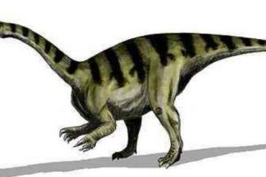 鞍龙：欧洲大型食草恐龙（长6.5米/距今2.08亿年前）