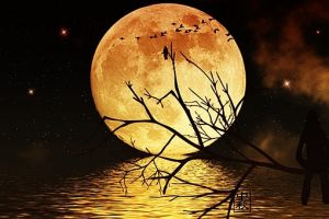 千里共婵娟和露似真珠月似弓哪句诗词描写的是中秋的月亮(含答案)