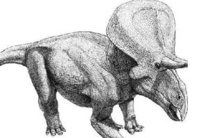 祖尼角龙：美国小型食草恐龙（长3.7米/距今9000万年前）