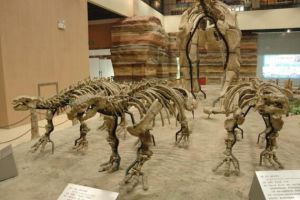 天镇龙：山东小型食草恐龙（长4米/距今9000万年前）
