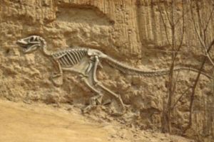 重庆发现恐龙化石群 化石群有六大特点(世界级化石群)