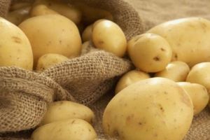 土豆有霉味了能吃吗，有毒素不能吃（吃了会呕吐、腹泻）