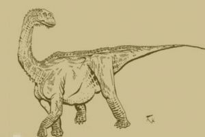 巴塔哥尼亞龍：阿根廷超巨型恐龍（長20米/1.63億年前）