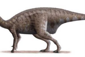 钉龙：欧洲小型食草恐龙（长1.5米/距今7000万年前）