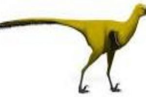 新疆猎龙：新疆小型恐龙（长4.5米/距今1亿年前）