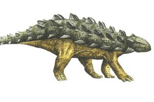 马里夫龙:蒙古大型甲龙类恐龙(长6米/生于9900万年前)