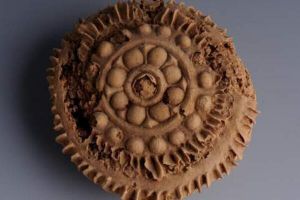 1400年前的月餅長啥樣：表面花紋清晰(原料是小麥粉)