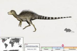 迷你雜食恐龍:夫魯塔齒龍 身長最大75厘米(僅鴨子大小)