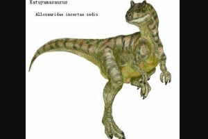 日本肉食恐龙:加贺龙 仅出土两颗牙齿(处于疑名状态)