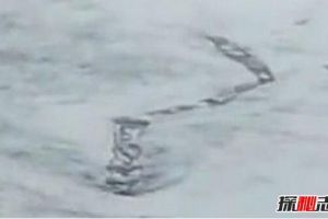 揭秘冰岛水怪之谜，游走于水面的巨蟒(被质疑造假)