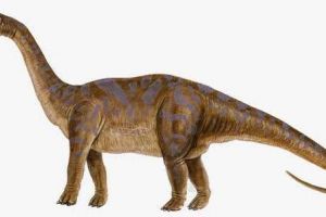 新牙龙：法国中型食草恐龙（长5米/距今1.45亿年前）