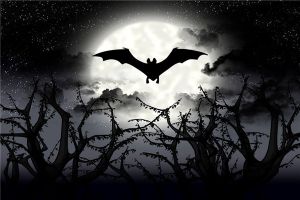 世界上最恐怖的动物是什么 蝙蝠会给人类带来哪些伤害