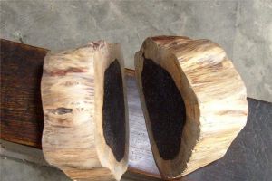 中国最硬的木头排名前五名 檀香木上榜第二用途广泛