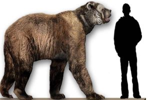 最大的短面熊有多大 身長達5米最重一千七百公斤