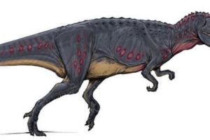 齒河盜龍：阿根廷大型食肉恐龍（長7米/距今6500萬年前）