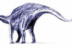 短劲潘龙图片（长10米/1.45亿年前）