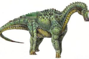 博妮塔龍：阿根廷大型食草恐龍（長9米/8000萬年前）