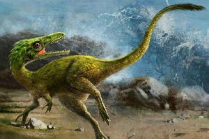 傷齒龍：恐龍中最聰明的存在（長2米/出土于北美洲）