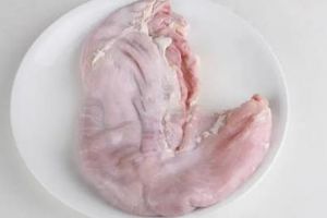 洗好的豬肚可以放冷凍嗎（可以放入冰箱冷凍保存）