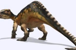 似凹齒龍：西班牙中型食草恐龍（長5米/距今6500萬年前）