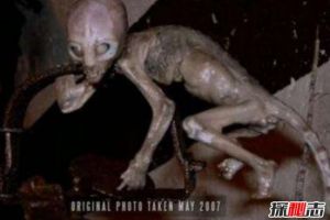 2007年墨西哥外星人寶寶事件，外星嬰兒實則被改造的猴子