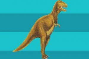 雜肋龍：法國大型食肉恐龍（長8米/距今1.63億年前）