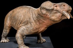 布拉塞特龍:三疊紀最大植食動物(長3.5米/有一對尖牙)