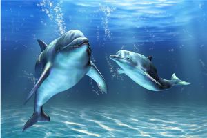 世界上性欲最強的動物是什么 海豚性欲為什么那么強