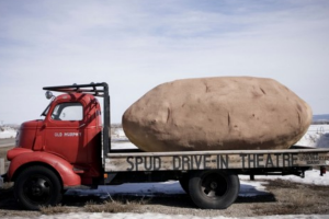 世界上最大的土豆：一只重達160斤(是普通土豆的800倍)