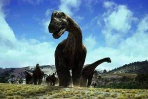 盘点世界上最大的恐龙 阿根廷龙居榜首体格是霸王龙的五倍
