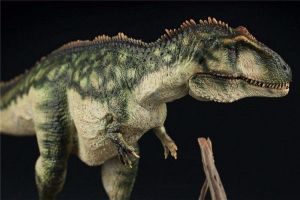 世界上最矮的食肉恐龍 巨獸龍（腿很短不到一米長）