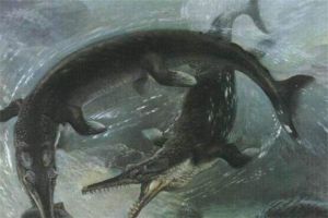 古蜥鯨vs龍王鯨 相恨相殺的古蜥鯨和龍王鯨